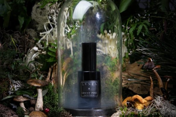 © LVNEA - olfaktorische Faszination für botanische Duftalchemie