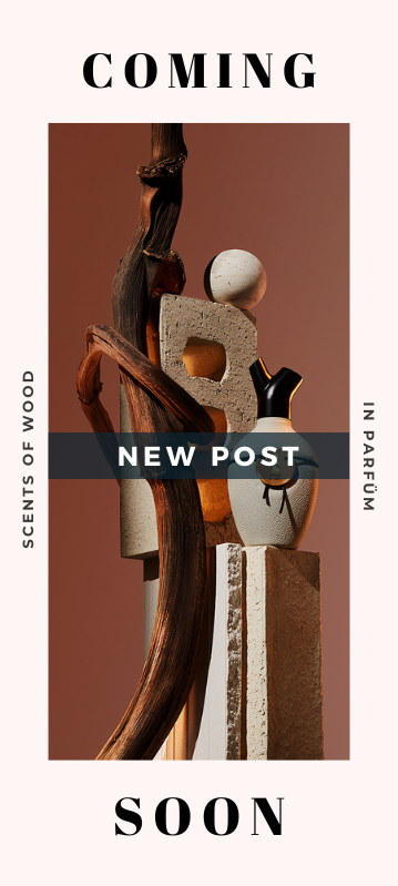 Banner Magazin Coming Soon November