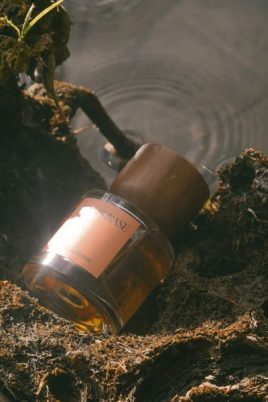 © PARAPHRASE Perfume - naturverbundene Indie-Duftkunst aus Kanada