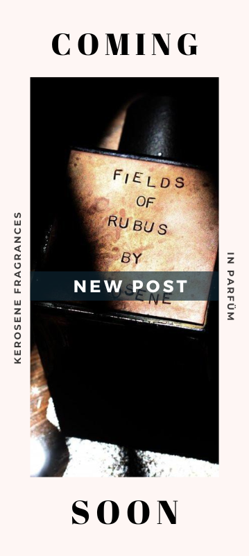 Banner Magazin Coming Soon März