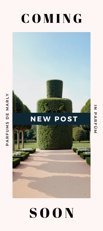 Banner Magazin Coming Soon März