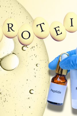 Proteine und Peptide - lebenswichtige zelluläre Kraftpakete