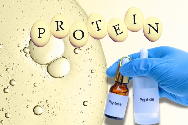 Proteine und Peptide - lebenswichtige zelluläre Kraftpakete